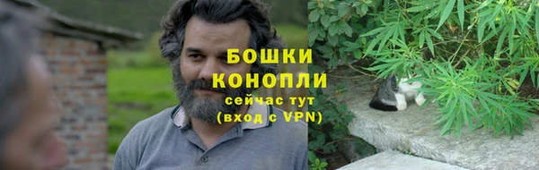 тгк Володарск