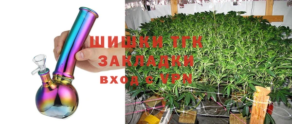 тгк Володарск