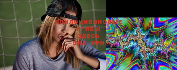 индика Семилуки