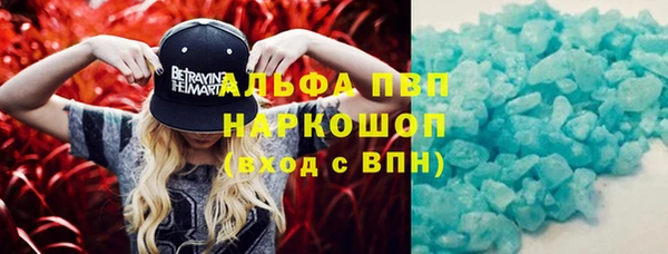 тгк Володарск