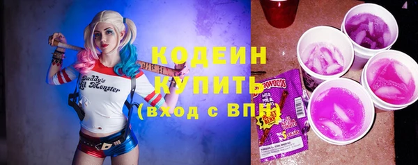 индика Семилуки