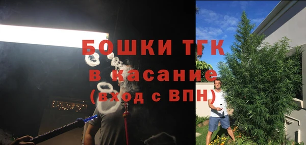 тгк Володарск