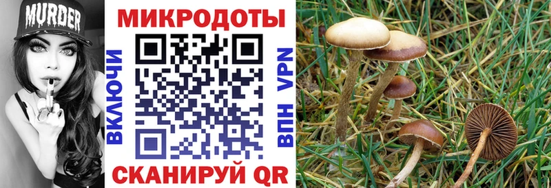 Псилоцибиновые грибы MAGIC MUSHROOMS  Купить закладки  Тогучин 